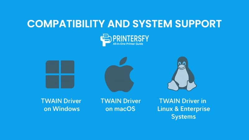 Compatibility and System Support
