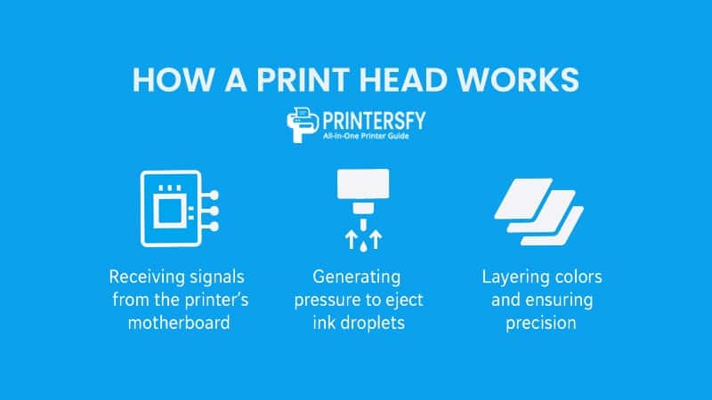How a Print Head Works