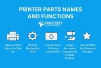 Printer Parts Names and Functions for All Types of Printers
