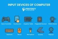 Input Devices of Computer: Definition, Types, Examples, and Uses