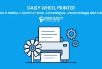 Daisy Wheel Printer: How It Works, Characteristics, Advantages, and Uses
